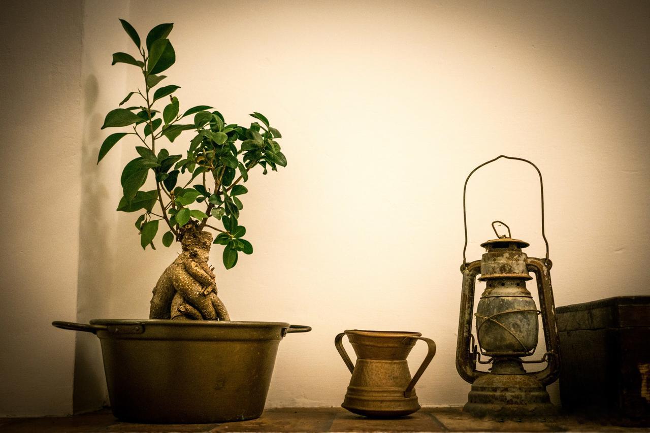 Dimora Amina Bed and Breakfast Loreto Aprutino Buitenkant foto