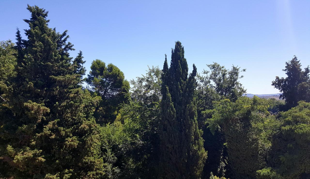 Dimora Amina Bed and Breakfast Loreto Aprutino Buitenkant foto